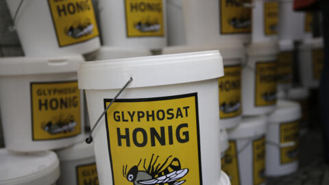 Agrotóxicos como el glifosato son responsables de la muerte de insectos como las abejas, además de ser potencialmente cancerígenos para el hombre.
