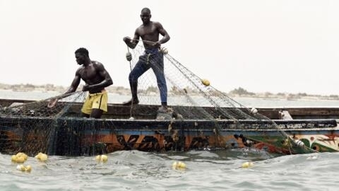 Senegalese fishermen pull their fishing nets out of the water in Joal-Fadiouth, south-east of the capital Dakar.