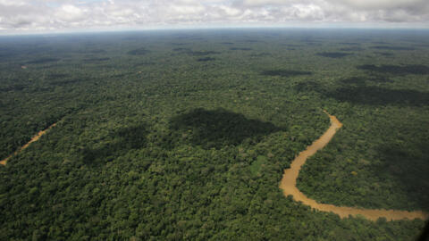 Imagem ilustrativa da Amazônia equatoriana. 