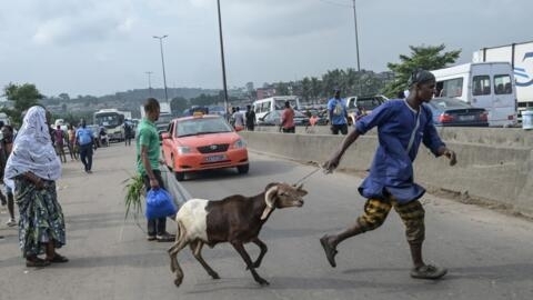 Un homme traverse la rue avec le mouton qu'il a acheté au marché d'Adjame, un quartier d'Abidjan, en Côte d'Ivoire, le 7 juillet 2022.