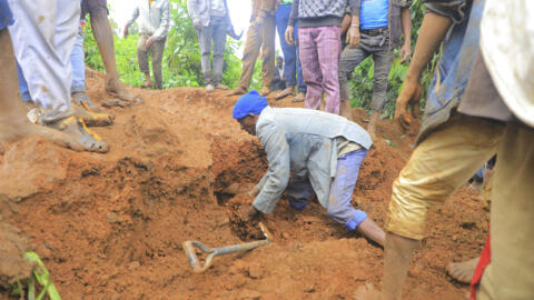 In this handout photo released by Gofa Zone Government Communication Affairs Department, a man searches for survivors after a mudslide in the Kencho Shacha Gozdi district, Gofa Zone, southern Ethiopia, Monday, 22 July, 2024. 