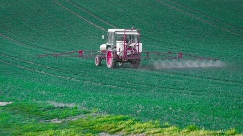 România, încă o derogare pentru folosirea unor pesticide