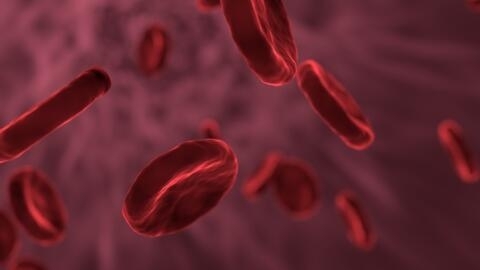 Alterações pouco significativas no exame de sangue podem indicar a existência da leucemia