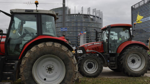 欧洲农民们呼吁欧洲议会议员否决欧盟委员会关于放宽 "新基因组技术"（NGT）规则的建议，该建议旨在开发抗气候灾害或昆虫的植物品种。2024年2月6日。