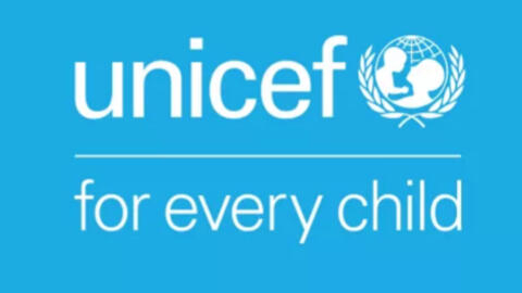 存档图片 / 联合国儿童基金会。
Image Archive / UNICEF - l'agence des Nations Unies pour la protection de l'enfance.