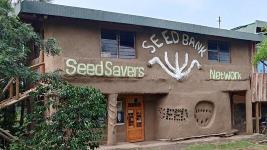 Seed Savers Network- Gilgil, Kenya