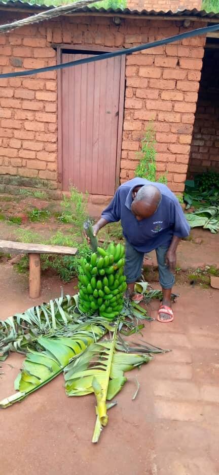 Traditional authority Msabwe MacDonald Mtokota in Thyolo, Malawi. He says the govenrment needs to open the banana market more.