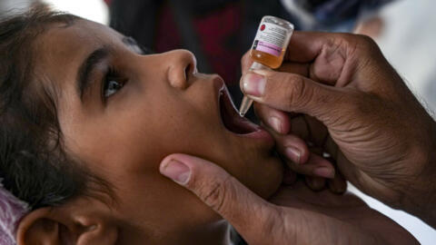 Plus de 440 000 enfants de Gaza ont reçu une première dose de vaccin anti-polio lors de la première semaine de campagne de vaccination.