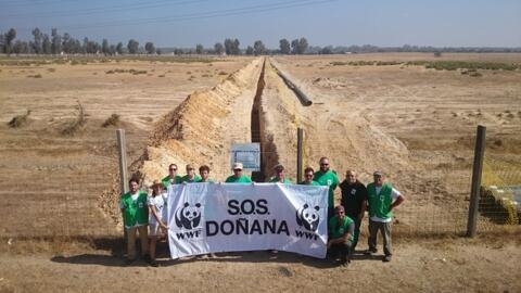La asociación ecologista WWF durante la campaña contra el dragado del Guadalquivir que amenazaba con afecta a Doñana.