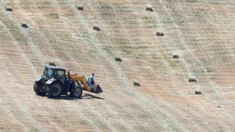 En Andalousie, les agriculteurs font face à d'énormes difficultés en raison de la sécheresse et du manque de précipitations.