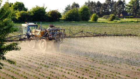 A farmer sprays pesticides on a field of potatoes in Godewaersvelde, northern France.