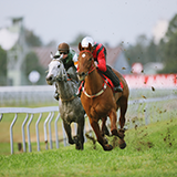 【中京競馬場】芝3000mのレースは年間で何回行われているのでしょうか。 