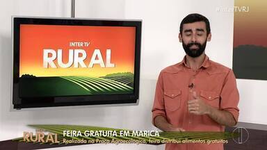 Veja edição completa do Inter TV Rural deste domingo, 3 de dezembro de 2023 - Programa traz as principais notícias do campo no Estado do Rio de Janeiro.