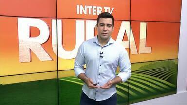 Inter TV Rural - Edição de domingo, 09/06/2024 - Inter TV Rural - Edição de domingo, 09/06/2024