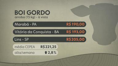 Confira as cotações do boi gordo - Veja os preços da semana.