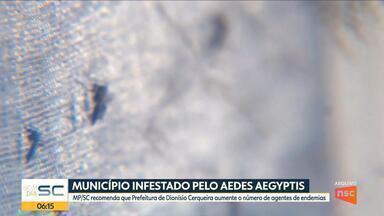 MPSC recomenda que Prefeitra de Dionísio Cerqueira aumente o número de agentes de endemias - A cidade está infestada pelo mosquito Aedes aegyptis
