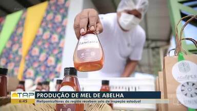 Meliponicultores da região recebem selo de inspeção estadual - Confira os detalhes a seguir.