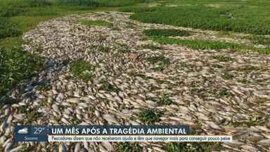 Assista à íntegra do EPTV 1 Campinas/Piracicaba desta quarta-feira, 7 de agosto de 2024 - Telejornal vai ao ar de segunda a sexta às 11h45, e aos sábados às 12h10, com transmissão ao vivo pelo g1.