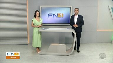 FN1 - Edição de Terça-feira, 10/09/2024 - Feiras livres oferecem alternativas de produtos frescos e com ofertas. CBN Prudente e Portal g1 realizam sabatina com candidata a vice Edna Fernandes de Aquino. Conheça a trajetória do novo técnico do Grêmio Prudente.