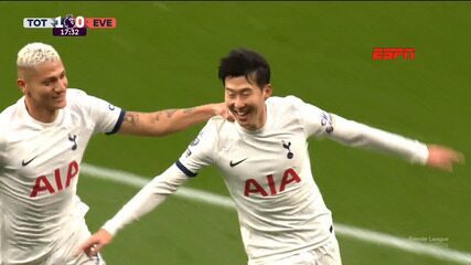 Tottenham 2 x 1 Everton - Melhores momentos - 18ª rodada do Campeonato Inglês