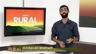 Veja edição completa do Inter TV Rural deste domingo, 10 de dezembro de 2023 - Programa traz as principais notícias do campo no Estado do Rio de Janeiro.