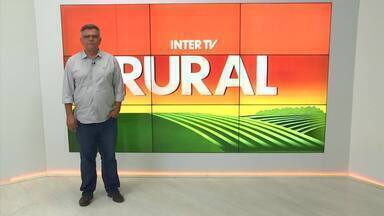 Íntegra do Inter TV Rural deste domingo, 23 de junho de 2024 - Programa mostra as notícias do campo.