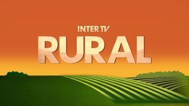Inter TV Rural - Edição de domingo, 23/06/2024 - Inter TV Rural - Edição de domingo, 23/06/2024