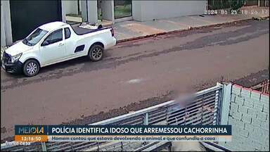 Polícia identifica homem que arremessou cachorrinha - Homem contou que estava devolvendo o animal e que confundiu a casa