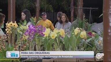 Ceagesp recebe Feira de Flores em Araçatuba - A Companhia de Entrepostos e Armazéns Gerais de São Paulo (Ceagesp) de Araçatuba (SP) recebe Feira de Flores. O evento começa na terça-feira (9).