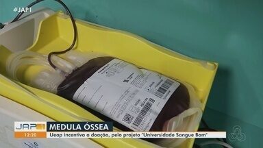 Projeto da Ueap busca incentivar doação de medula óssea no Amapá - Projeto da Ueap busca incentivar doação de medula óssea no Amapá.