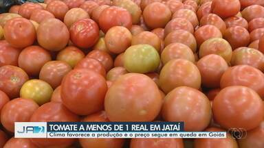 Clima favorece produção e preço do tomate cai - Item já pode ser encontrado a menos de R$ 1 o quilo, em Jataí (GO).