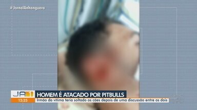 Homem é preso suspeito de soltar pitbull para atacar irmão - Irmão da vítima teria soltado os cães depois de uma discussão entre os dois.