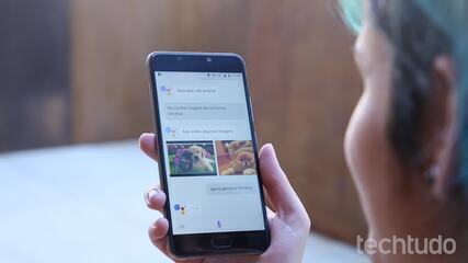Google Assistente: quatro curiosidades sobre o software