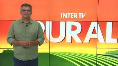 Íntegra do Inter TV Rural deste domingo 21 de abril de 2024 - Cácio Xavier traz as principais notícias do homem do campo.