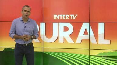 Íntegra do InterTV Rural deste domingo, 9 de junho de 2023 - Telejornal mostra as principais notícias do homem do campo.