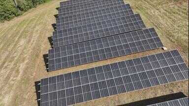 Projeto no Paraná incentiva agricultores a investirem em painéis solares - Energia elétrica é um dos principais custos de produção no campo.