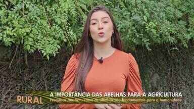 Inter TV Rural: Veja a edição completa deste domingo, 02 de junho de 2024 - O Inter TV Rural vai ao ar todos os domingos após a Santa Missa com as principais notícias que mexem com a vida dos agricultores e da população.