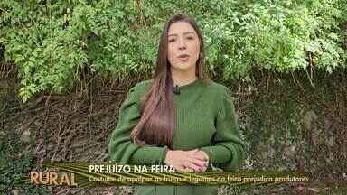 Inter TV Rural: Veja a edição completa deste domingo, 09 de junho de 2024 - O Inter TV Rural vai ao ar todos os domingos após a Santa Missa com as principais notícias que mexem com a vida dos agricultores e da população.