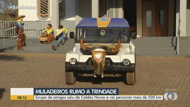 Grupo de muladeiros sai de Caldas Novas para prestigiar a festa do Divino Pai Eterno - Grupo de amigos saiu de Caldas Novas e vai percorrer mais de 200 km.