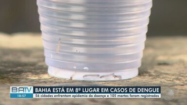 Bahia está em 8º lugar em casos de dengue - 56 cidades enfrentam epidemia da doença e 105 mortes foram registradas.