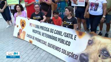 Manifestação em prol da causa animal é realizada na orla de Petrolina - Manifestantes pediam também a criação de um hospital veterinário, canil e gatil públicos, e o fim das carroças de tração animal.