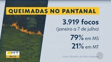 Bioma enfrenta pior seca em 70 anos - Bioma enfrenta pior seca em 70 anos