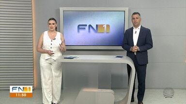 FN1 - Edição de Terça Feira, 20/08/2024 - Operação apreende uma tonelada de maconha na Rodovia Assis Chateaubriand, em Pirapozinho. Vagas no mercado de trabalho têm destaque para o setor industrial. Futsal de Dracena volta a jogar nesta quarta-feira pela Liga Paulista.