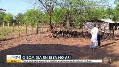 Bom Dia RN - Edição de segunda -feira, 09/09/2024 - Bom Dia RN - Edição de segunda -feira, 09/09/2024