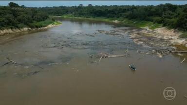 Seca extrema dificulta a navegação em rios do Amazonas - Com transporte mais caro, os preços dos alimentos quase dobraram, na fronteira com o Peru.