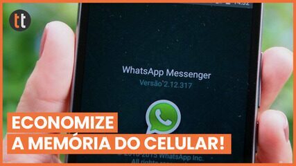 Cinco funções do WhatsApp que ajudam a economizar a memória do celular