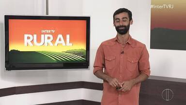 Veja edição completa do Inter TV Rural deste domingo, 21 de janeiro de 2024 - Programa traz as principais notícias do campo no Estado do Rio de Janeiro.