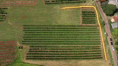 Quantos metros tem 1 hectare? - Um hectare equivale a 10 mil metros; saiba mais