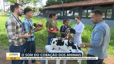 Projeto de pesquisa da UFRR grava o som do coração e coloca em bichinhos de pelúcia - O projeto conta com o apoio de pequenos produtores rurais do estado de Roraima e com o Cetas-RR.