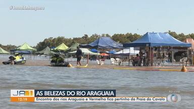 Belezas naturais impressionam turistas no Rio Araguaia - Encontro dos rios Araguaia e Vermelho fica pertinho da Praia do Cavalo.